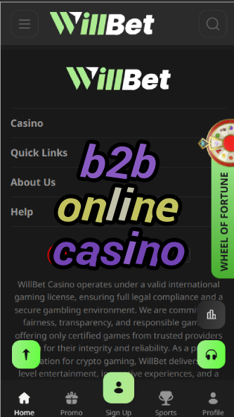 B2B Online Casino - Business Casino Solutions-casinasolatia.casinoorder.vip