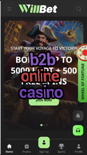B2B Online Casino - Business Casino Solutions-casinasolatia.casinoorder.vip